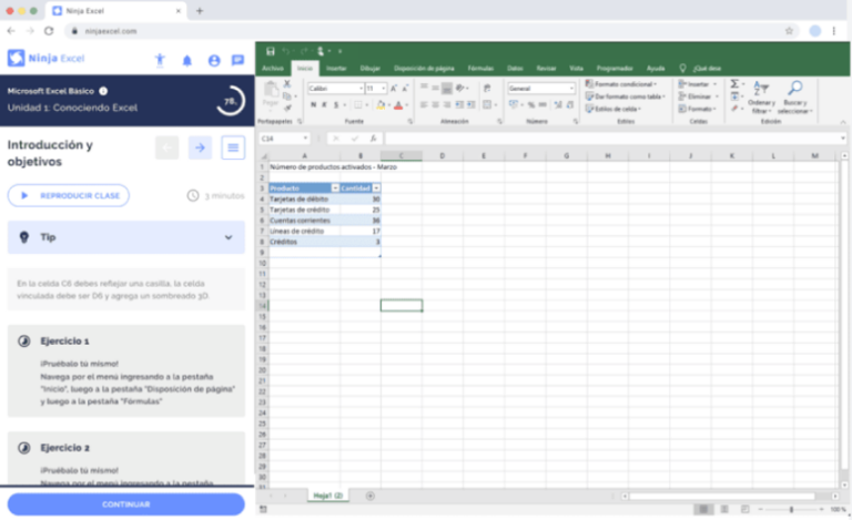 Conoce Los Cursos De Excel De Ninja Excel