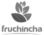 logo fruchincha