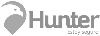 Logo hunter